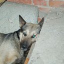 ���� ������ ����� ���� �� ������� ���� ����������