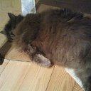 ��� ��� ����� - ������ �� ����� ����������������� - ������ ����� ����. �� ������� ���� ����������