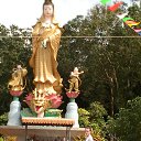 ���� ��������, ����, 56 ��� - ��������� 5 ����� 2014 � ������ ���� ����������