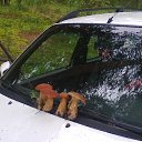 ���� ��������, �������, 64 ���� - ��������� 12 ������� 2014 � ������ ���� ����������