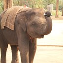 ���� ������, ������, 58 ��� - ��������� 26 ������� 2013 � ������ ���� ����������