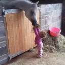 &quot;   -   ?!&quot;     ... .