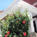 ���� Valen- @Tina Jordan@ "������ �������", ������ - ��������� 13 ������� 2013 � ������ ������ �� ������� ����� � �������!�