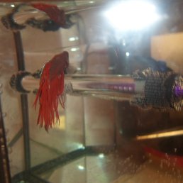 ���� ������, �����������, 71 ��� - ��������� 13 ����� 2014