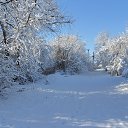  ---Ludmila---,  -  9  2013    