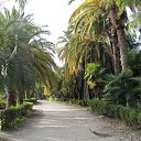 ���� ���, ����, 65 ��� - ��������� 11 ����� 2014 � ������ ��������� �� �������.�