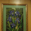 ���� ���������, �����-���������, 57 ��� - ��������� 7 ������ 2014 � ������ ���� ����������