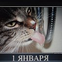     ʻ