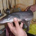 ���� ������, ��������� - ��������� 26 ������� 2013 � ������ ���� ����������