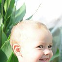 ���� ������, ���������, 41 ��� - ��������� 8 �������� 2013 � ������ ���� ����������