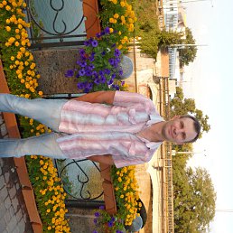 ���� ����, �������, 52 ���� - ��������� 9 ������� 2013