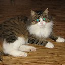 ���� ����, ��������������, 67 ��� - ��������� 28 �������� 2013 � ������ ���� ����������