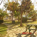 ���� �����, �������� - ��������� 5 ������ 2013 � ������ ���� ����������