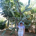 ���� ����, ���������, 71 ��� - ��������� 6 ������� 2013 � ������ ���� ����������