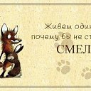 ���� �����, ���������, 43 ���� - ��������� 13 ������� 2013 � ������ ���� ����������