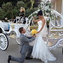 ���� �������, ����-���������, 53 ���� - ��������� 6 ����� 2014 � ������ ������ ��������