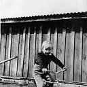 ���� ������, ���������, 50 ��� - ��������� 16 ������ 2014