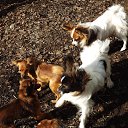 ���� ���������, �����, 51 ��� - ��������� 14 ����� 2014 � ������ ���������� ��������