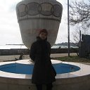  , , 56  -  20  2014   , 