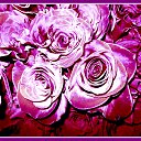 ���� ������� �., ����� - ��������� 14 ����� 2014 � ������ ������ ��������