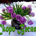 ���� �����, ������ - ��������� 26 ������� 2014 � ������ ������ ��������
