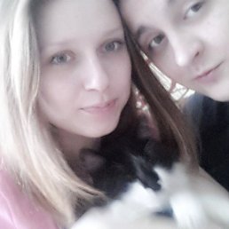 Dendy, �������, 34 ����