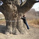 ���� �������, ��������� - ��������� 31 ������ 2014 � ������ ���� ����������