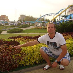 �������, �������, 46 ���