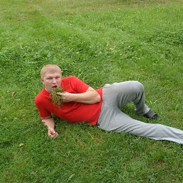 ���� ������� �������, ��������, 38 ��� - ��������� 24 �������� 2013