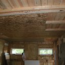 ���� ����, �����-���������, 41 ��� - ��������� 23 �������� 2013 � ������ ���� ����������