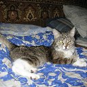 ���� �����, ������� - ��������� 3 ����� 2014 � ������ ���� ����������