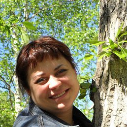 ����� ��������, �����������, 51 ���