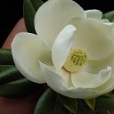 ���� �����, �������, 54 ���� - ��������� 1 ����� 2014 � ������ ���� ����������