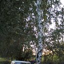 ���� ������, ��������, 52 ���� - ��������� 17 �������� 2013
