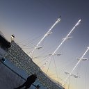 ���� ���������, ��������, 43 ���� - ��������� 9 ������ 2014 � ������ ������ ��������