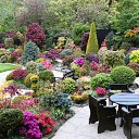 ���� �����, �������� - ��������� 7 ������� 2013 � ������ ���� ����