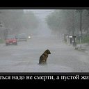 ���� �����, ������, 54 ���� - ��������� 25 ������� 2014 � ������ �DeMotivator�