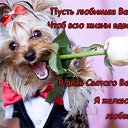 ���� ������, ������, 57 ��� - ��������� 14 ������� 2014 � ������ ������ ��������