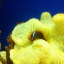 ��� � � ������ ����� �� ������� �������� ���������