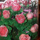 ���� �����, ��������, 42 ���� - ��������� 5 ����� 2014 � ������ ���� ����������