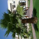 ���� Svetlana, ������ - ��������� 14 ����� 2014 � ������ �*****�