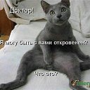 ���� ---Vremya I Steklo ---, ���������, 52 ���� - ��������� 11 ������ 2013 � ������ ���� ����������