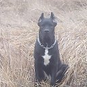 ���� ������, �������������� - ��������� 8 ������ 2014 � ������ ����Ի