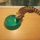 ���� ��������, ��������, 57 ��� - ��������� 17 ������� 2014 � ������ ���� ����������