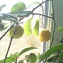 ���� ��������, ����� - ��������� 6 ����� 2014 � ������ ��฻