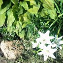 ���� Valechka, �����, 60 ��� - ��������� 10 ������ 2014 � ������ ���� ����������