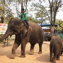 ���� ������, ������, 58 ��� - ��������� 26 ������� 2013 � ������ ���� ����������