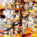 ���� �����, �����, 64 ���� - ��������� 30 ������ 2013 � ������ ��Ψ�