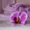 ���� Nataly, ������ �������� - ��������� 7 ������ 2013 � ������ ��������� �������