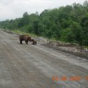 ���� Olga, �������-����� - ��������� 5 �������� 2013 � ������ ���� ����������